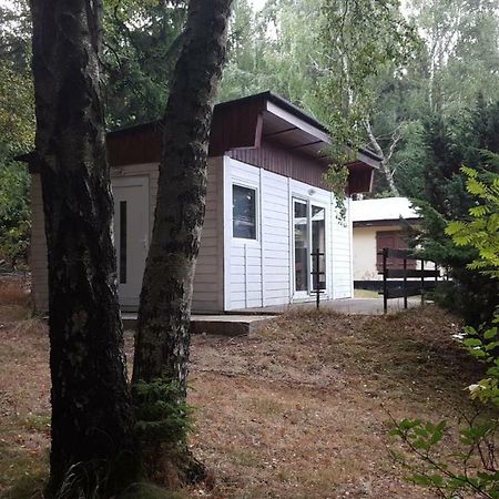 Bungalowdorf Klein Budelsdorf Altenberg 외부 사진
