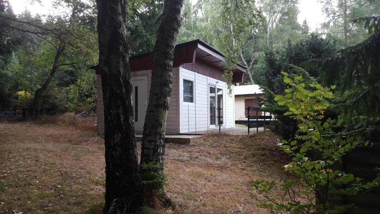 Bungalowdorf Klein Budelsdorf Altenberg 외부 사진